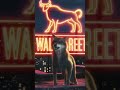Wolf of Wall St