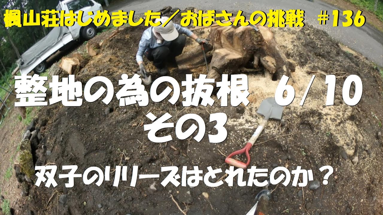 ＃１３６　整地の為の抜根　6/10　その3　／　双子のリリーズは取れたのか？