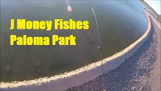 J Money Fishes Paloma Park