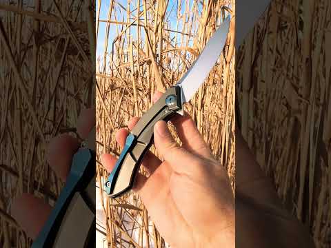 Shirogorov Poluchotky Sinkevich design M390 Russia   