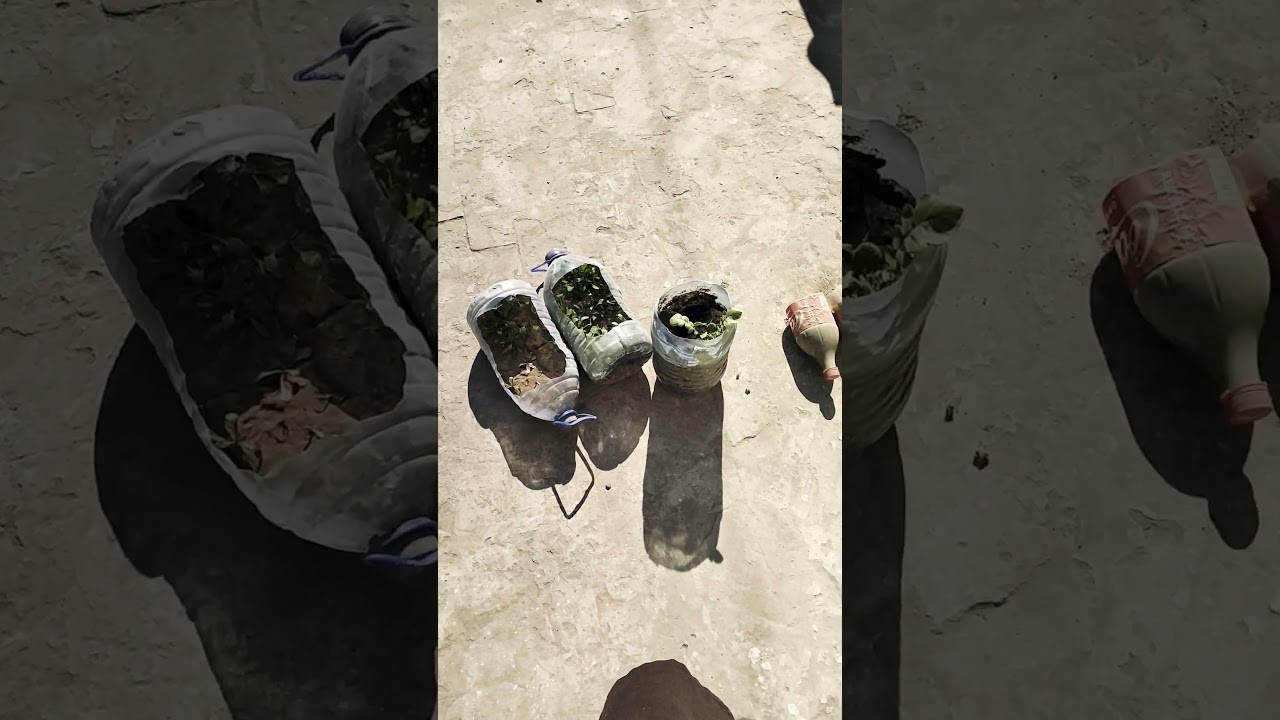 mud make the gold 🪙 