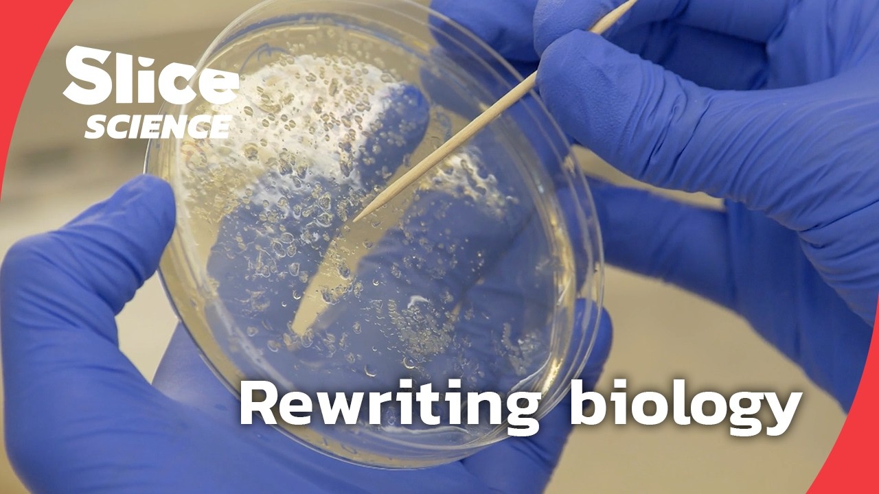 Synthetic biology, redesigning life | SLICE SCIENCE