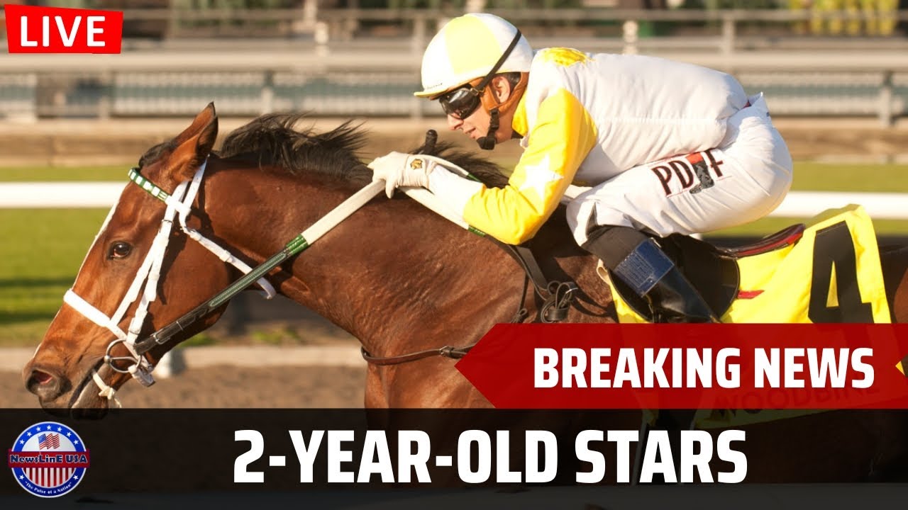 Скачки в Вудбайне: шокирующее противостояние двухлетних лошадей! 🔴 СВЕЖИЕ НОВОСТИ В ПРЯМОМ ЭФИРЕ