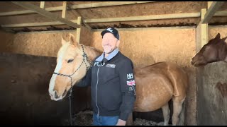 Horse worming made simple &amp; Why we don&#39;t hand feed!
