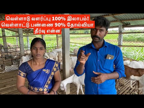 Stall fed goat farming is profitable in Tamilnadu? Why goat farming is failure??