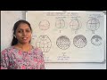 Basics of Cleavage in Frog’s Development 🐸 | Embryology | Cleavage Patterns Explained