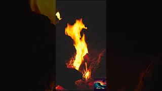 Bonfire Rhythms