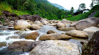 Mountain Stream in a Quiet Village | Gentle Waterfall & Stream Sounds for Sleep, Relaxation, Study.
