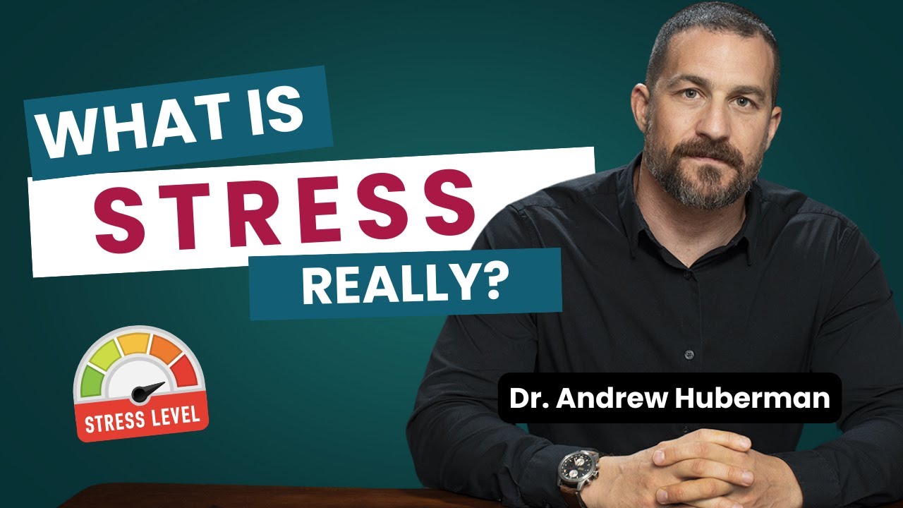 How to Control Your Stress Response Fast | Neuroscientist Dr. Andrew Huberman Explained