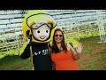STOCK CAR BRB 2025 AO VIVO | 9ª ETAPA - CORRIDA PRINCIPAL | CAMPO GRANDE, MS