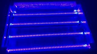 Barrina UV LED Blacklight Bar, 22W 4ft, T5 Integrated Bulb, Black Light Fixture for Blacklight Poste screenshot 4