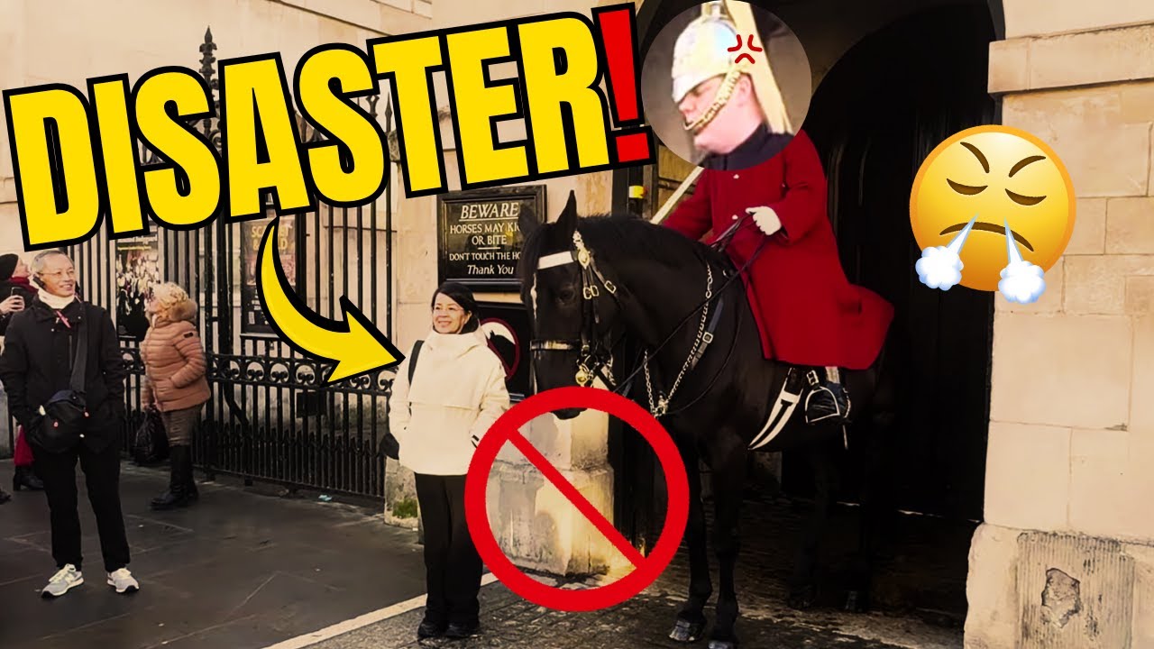 💂‍♂️ ROYAL WARNING!!! 