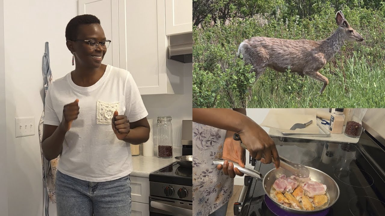 youtube journey update, behind the scenes, and a beautiful walk! | mini vlog