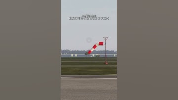 ATC makes a terrible mistake | Real ATC Audio | MSFS reenactment