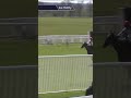 No Drama This End takes Listed honours at Perth ✅