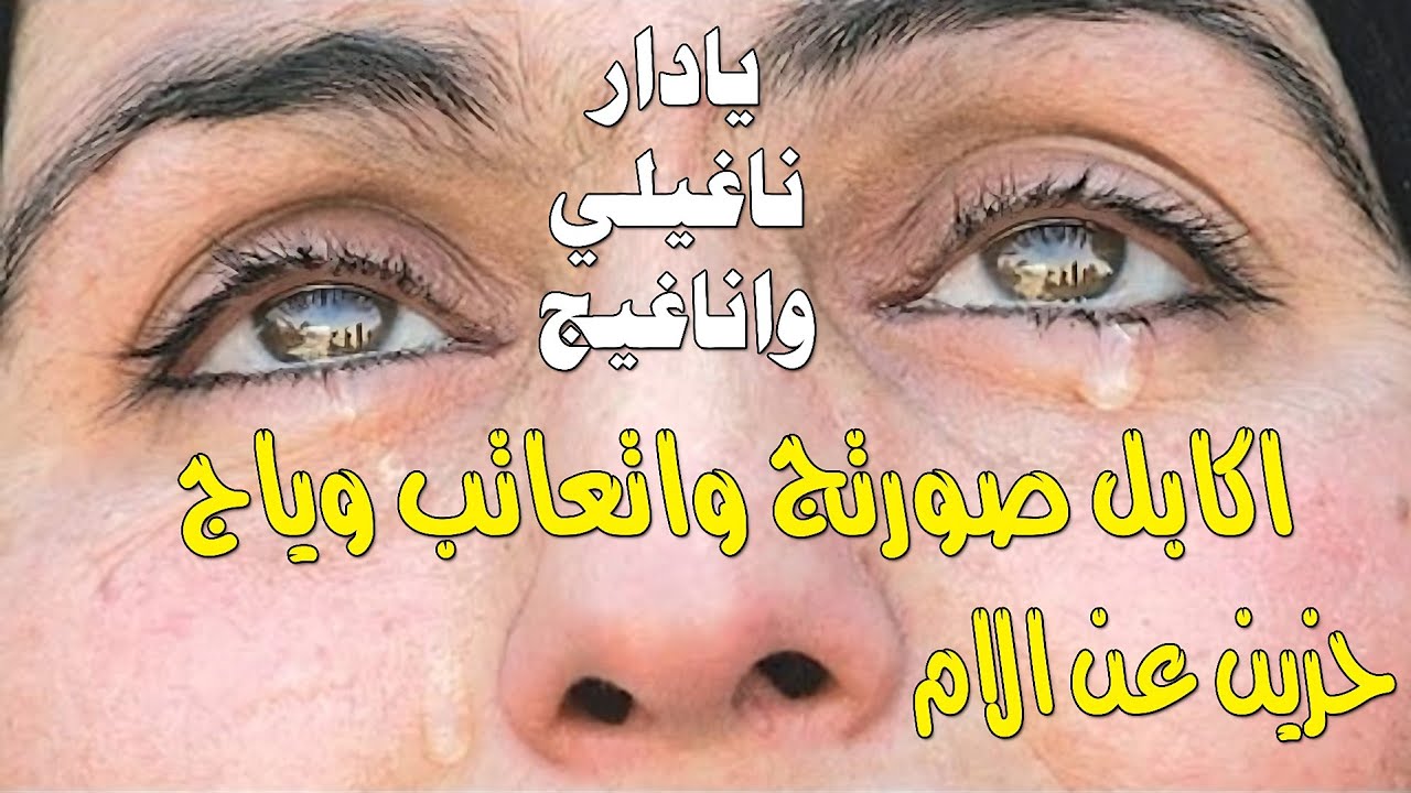 الفاقد امه لايسمع النعي - 