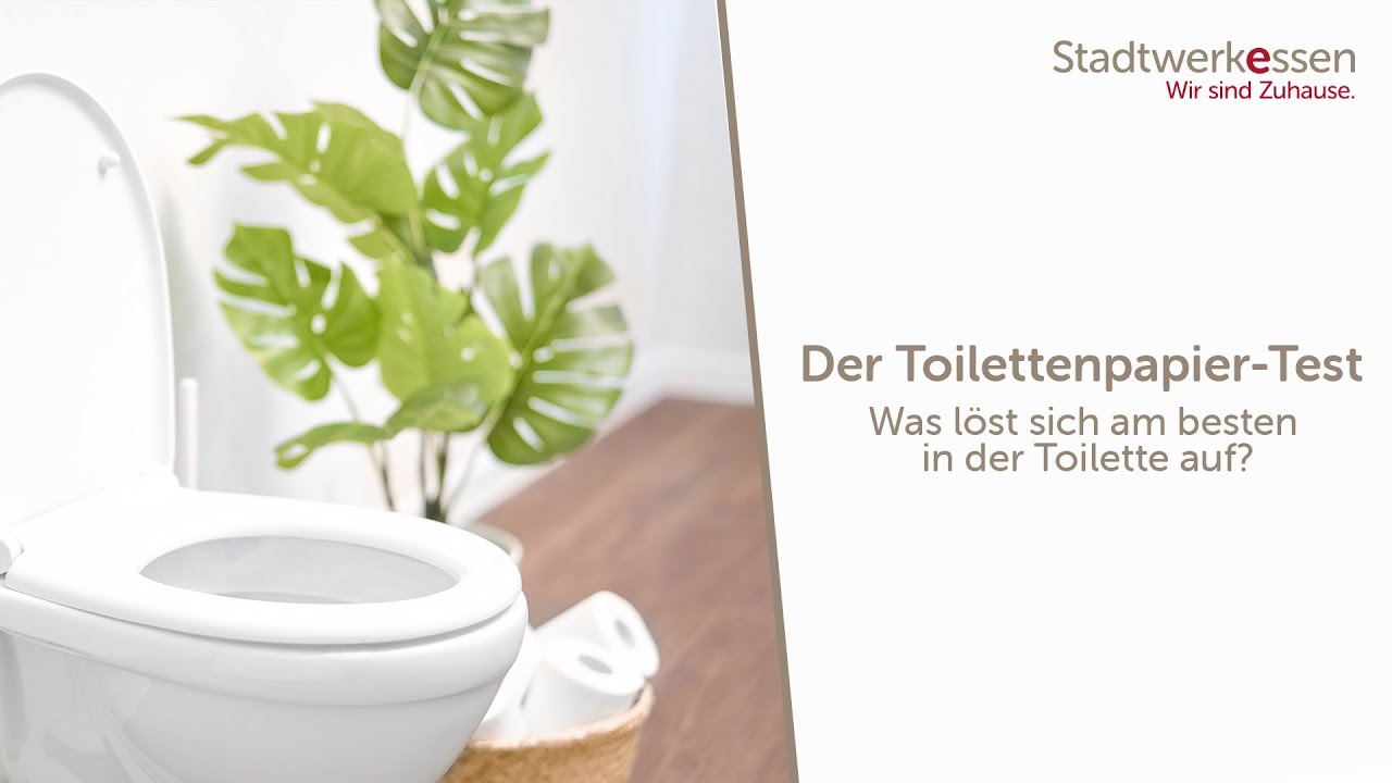 Kinder-Experiment Toilettenpapier – Experimentieren mit den Stadtwerken Essen