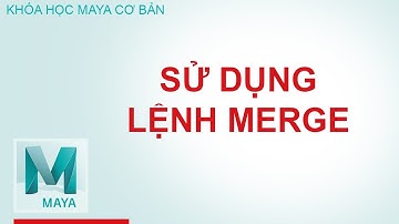 Học maya sử dụng lệnh Merge trong menu Edit Mesh