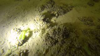 Milligerplas 15-06-2014