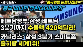 |중국반응| 