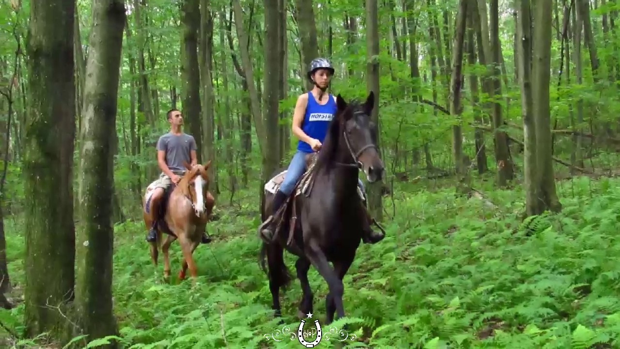 Втулка ride trail