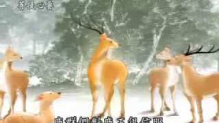 20100703-5《菩提心要》智慧的覺悟