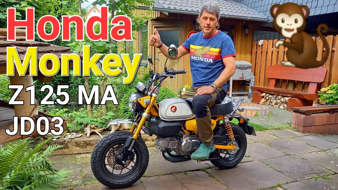 Neuvorstellung Honda 🐒 Monkey Z 125 MA JB03 Modell 2024 |🌲 Harzer Monkey | keine Dax Grom125 