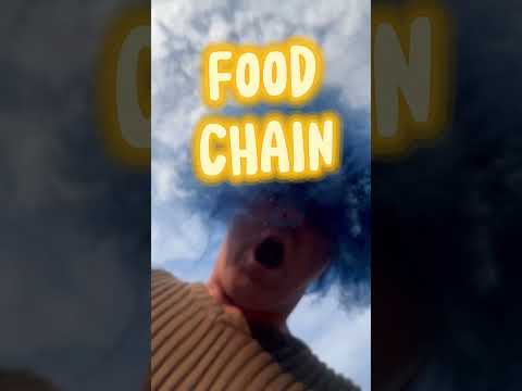 PERMON - Food chain