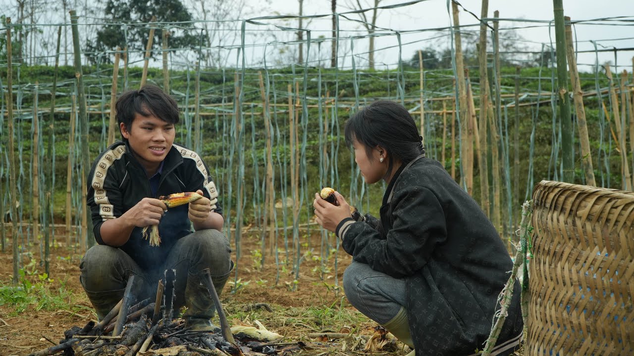 Продолжаем улучшать опору для бобовых растений | Простой, но вкусный обед в поле.