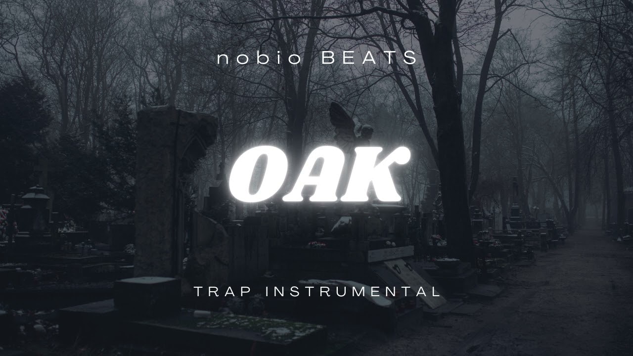 (FREE) Melodic Type Beat - "OAK" | Dark Type Beat | Rap Trap Beat Instrumental