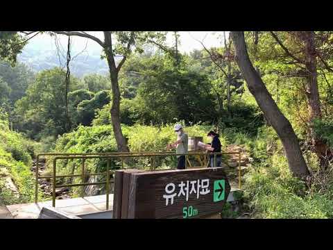 영상썸네일