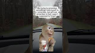 Everytime 🤔🤣 anyone else? #whocanrelate #funny #lifehumor #meme #forget
