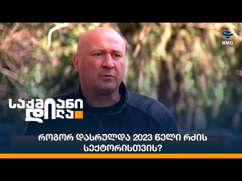 როგორ დასრულდა 2023 წელი რძის სექტორისთვის?