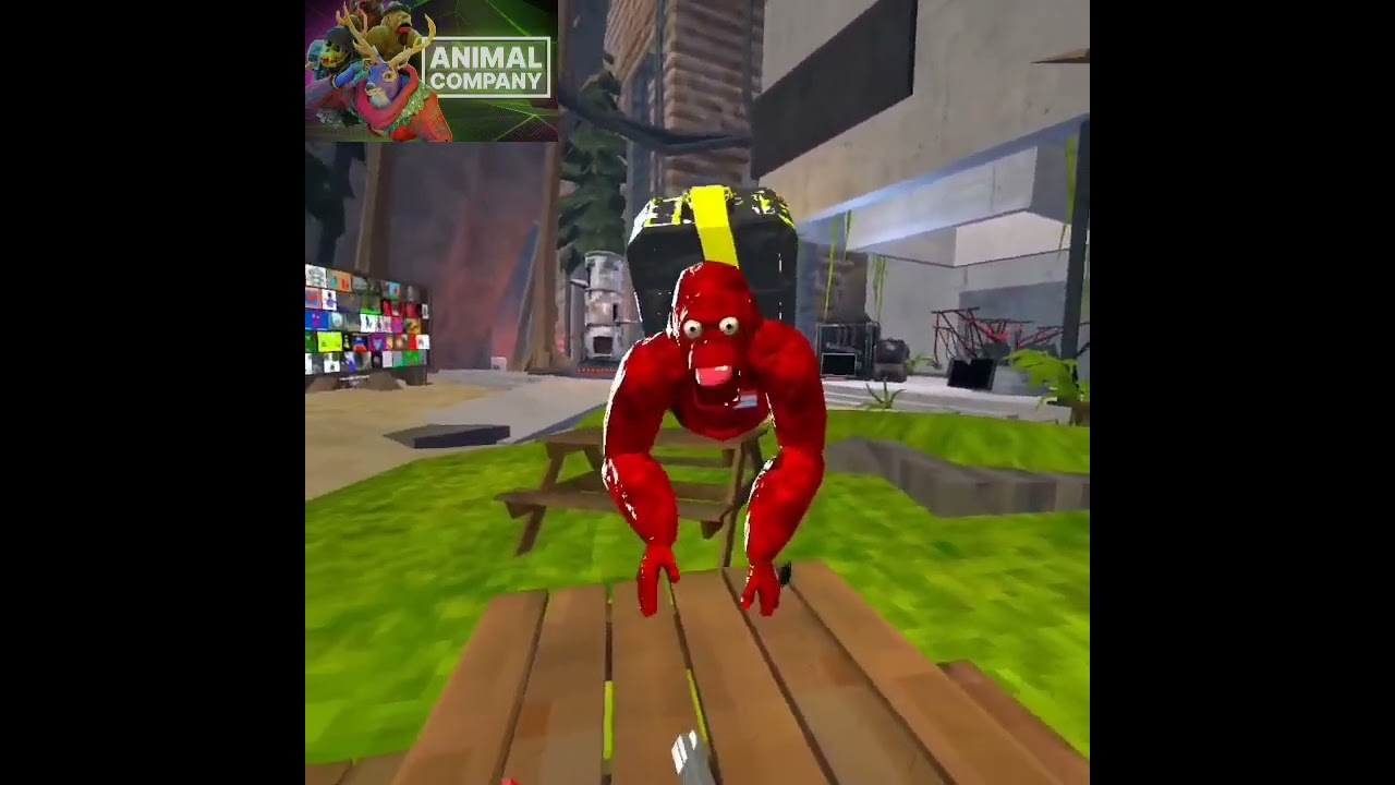 How to trade in animal company like a pro.      