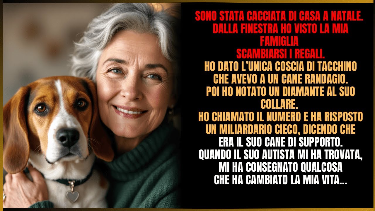 Era una sera qualsiasi di dicembre quando ho trovato un cane randagio con un collare di diamanti. Niente nella mia vita era stato normale fino a quel momento: a 68 anni, vivevo in un monolocale a...