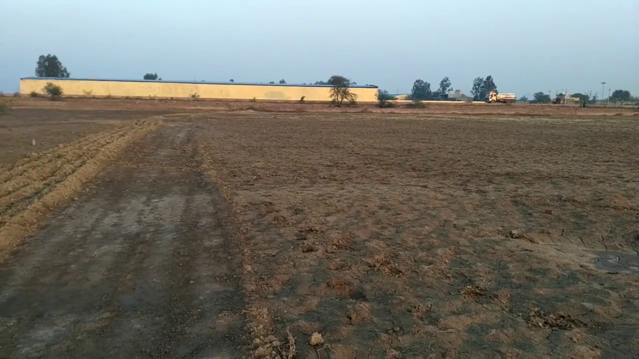 Mandothi dada budha temple