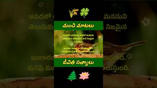 Jeevitha satyalu #560 | quotations | manchi matalu | neethi vakyalu #shorts