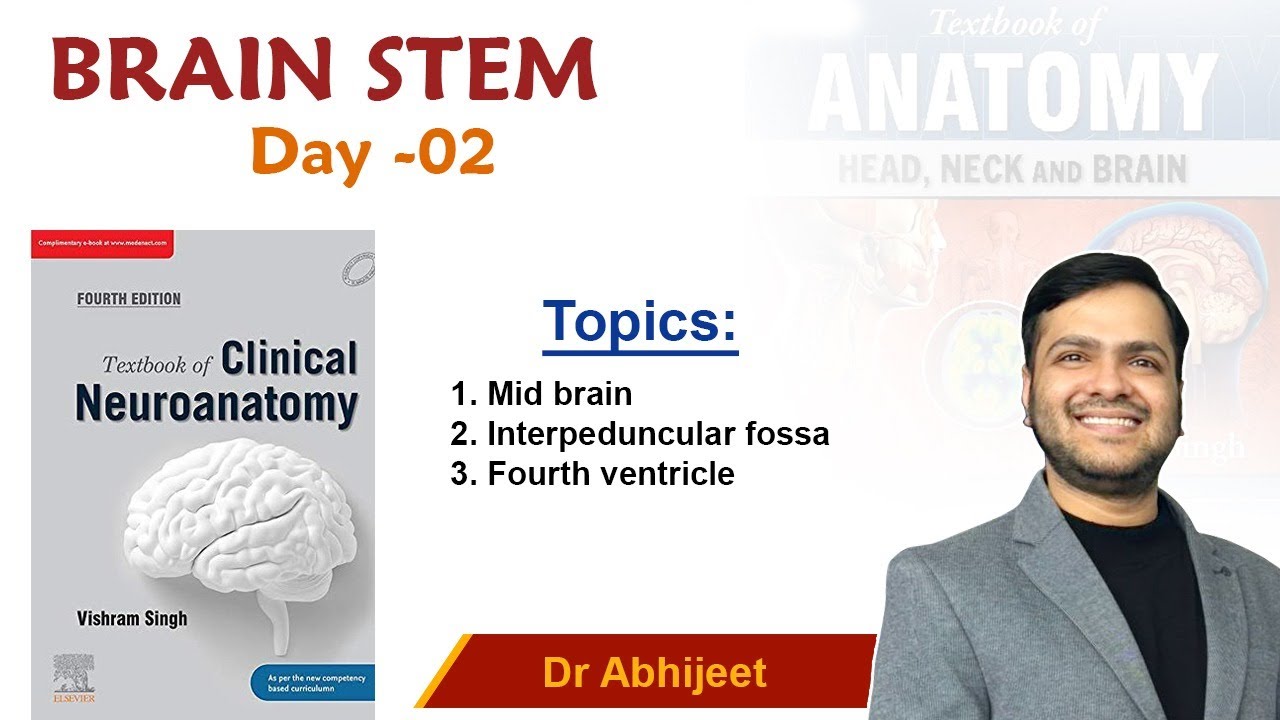 Neuroanatomy - Brain Stem  For Mbbs 1st Proff By Dr Abhijeet.