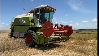 Початок жнив 2023! Молотимо пшеницю) Урожайність радує, Claas Dominator 48s в роботі!