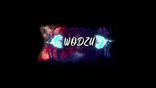 W.O.D.Z.U - Flo Rida whistle ( Bass Boosted)