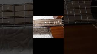 Dean Acoustic/Electric Bass Buzz Repair Part 1 Initial Examination: #bass #repairing