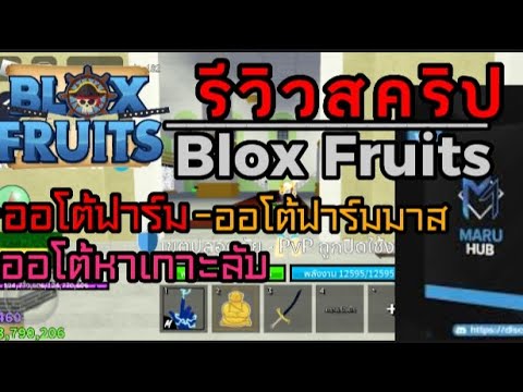 รีวิวสคริปMARU HUB 