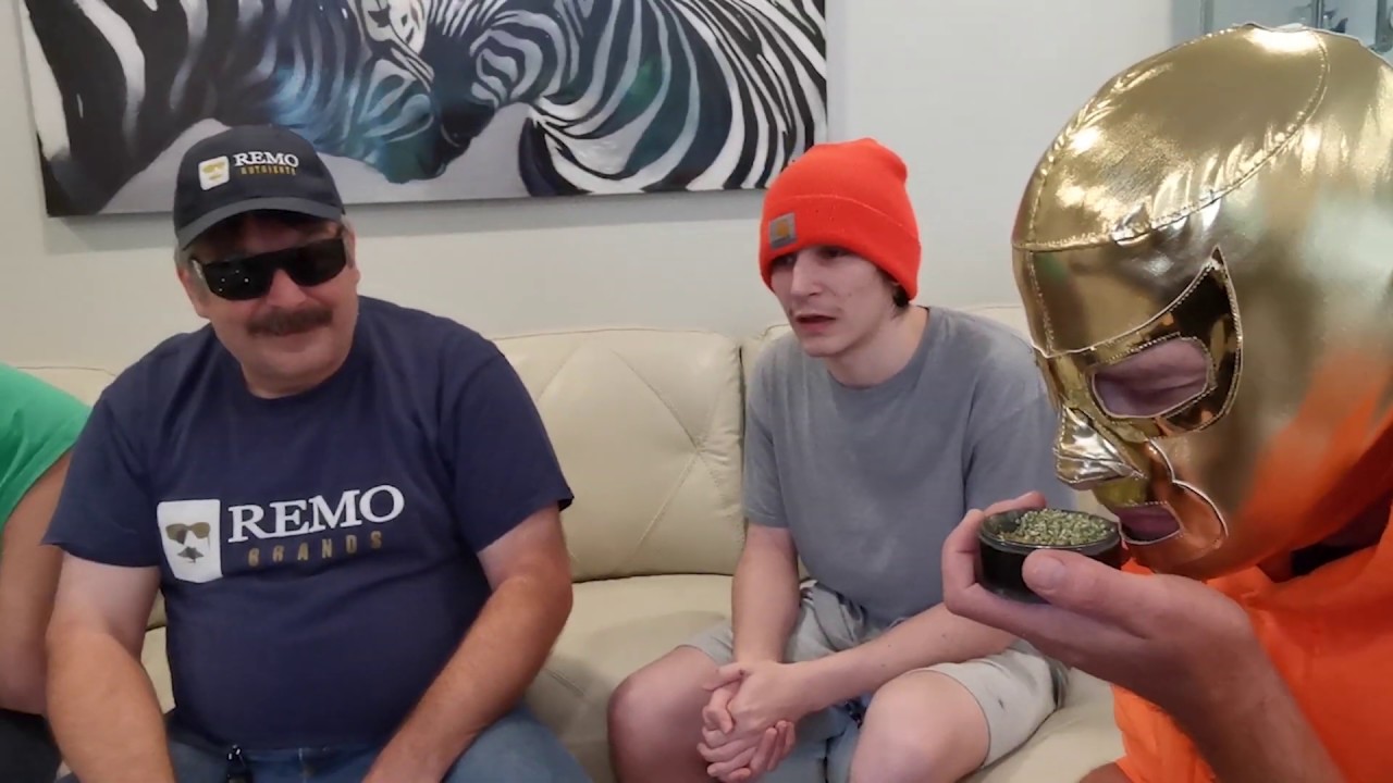 BUD BATTLE crashes WEED WARZ _GUAVA JELLY VS GORILLA ZKITTELS