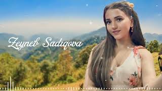 Zeyneb Sadiqova Yeni Trend Mahni 2024
