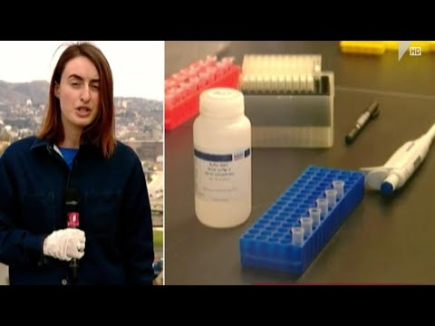 სწრაფი ტესტირება საქართველოში