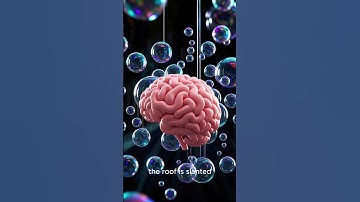 The egg laying rooster | Crack the code #crackthecode #riddles #brainteasers #puzzles