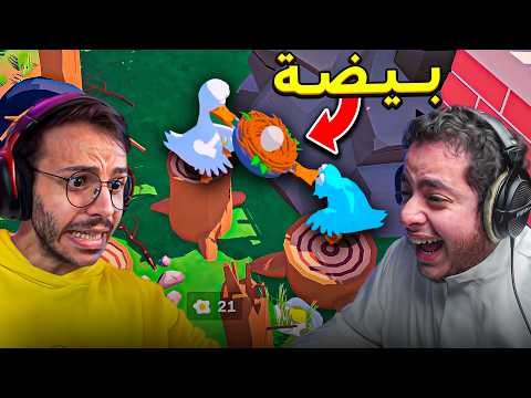 بطتين ينقذون بيضة ! 🥚
