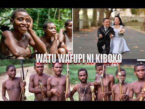 Video: Kukua Kiboko Katika Nyumba