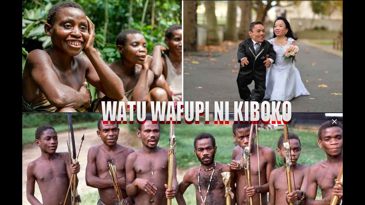 Download WATU WAFUPI NI KIBOKO : Sayansi Inathibitisha.