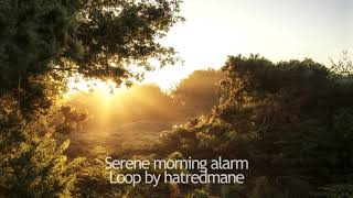 Serene morning alarm (hatredmane loop)